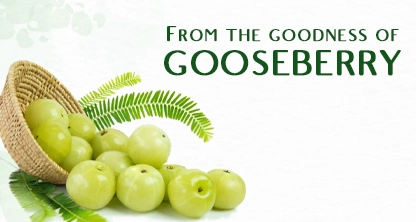 Nature's Secrets Revealed: The Gooseberry