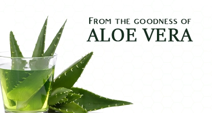 Nature's Secrets Revealed: Aloe Vera